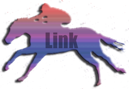 LINK  FILE
