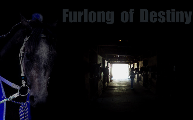 hurlong  of  destiny-top